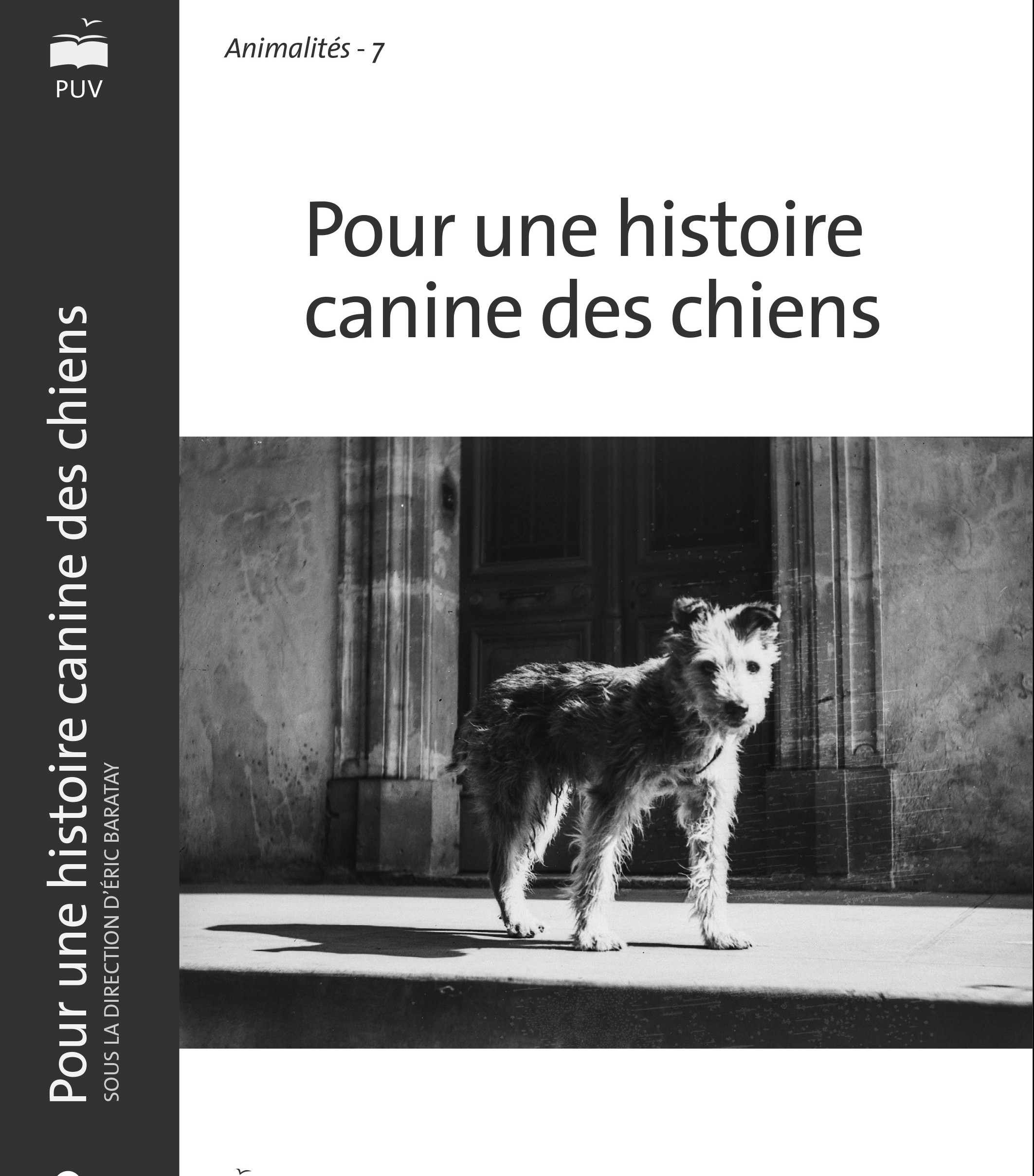 ANIMALITéS-7-Chiens