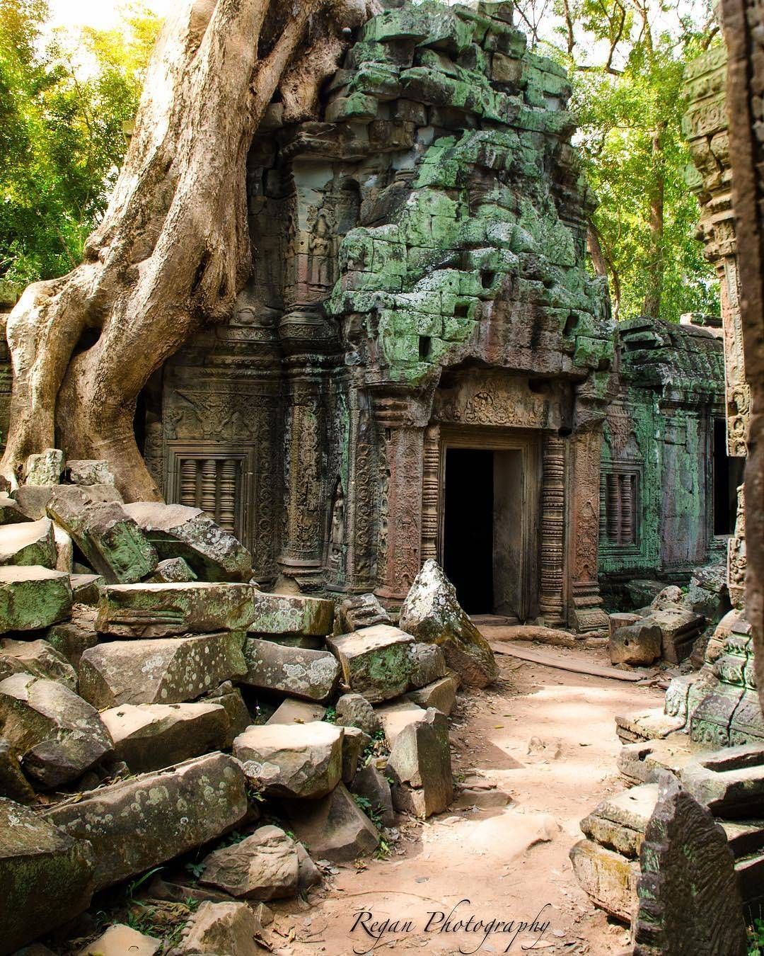 Angkor Vat, affiche reach
