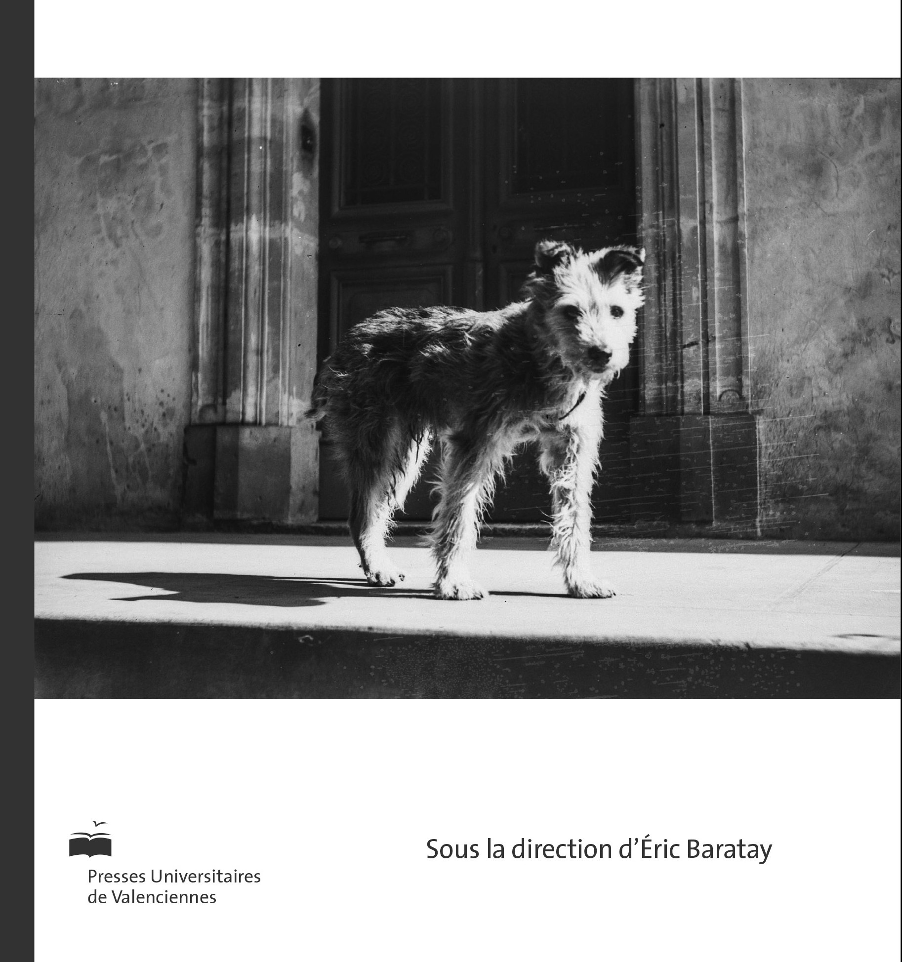 ANIMALITéS-7-Chiens